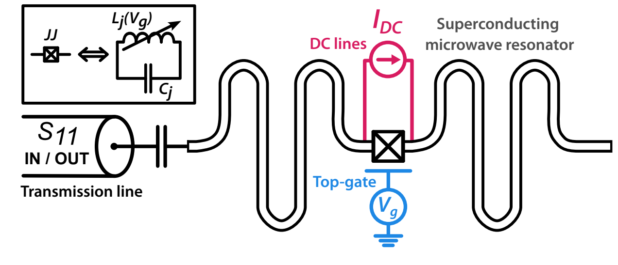 Gate-tunable Nanowire Josephson Amplifiers Achieve 20dB Gain with Nearly 1GHz Frequency Tuning