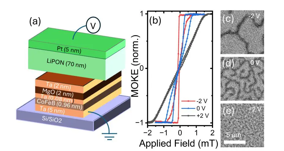 Lithium-based Magneto-Ionic Device Performs Reservoir Computing, Forecasting Chaotic Time Series In-Materio