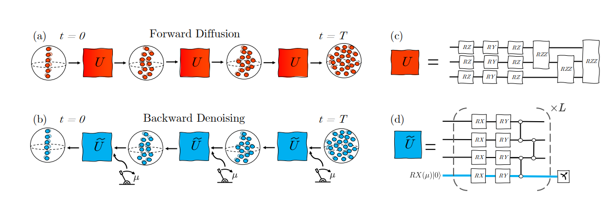Quantum Denoising Diffusion Models with Conditioning Reduce State Generation Error by up to One Order of Magnitude