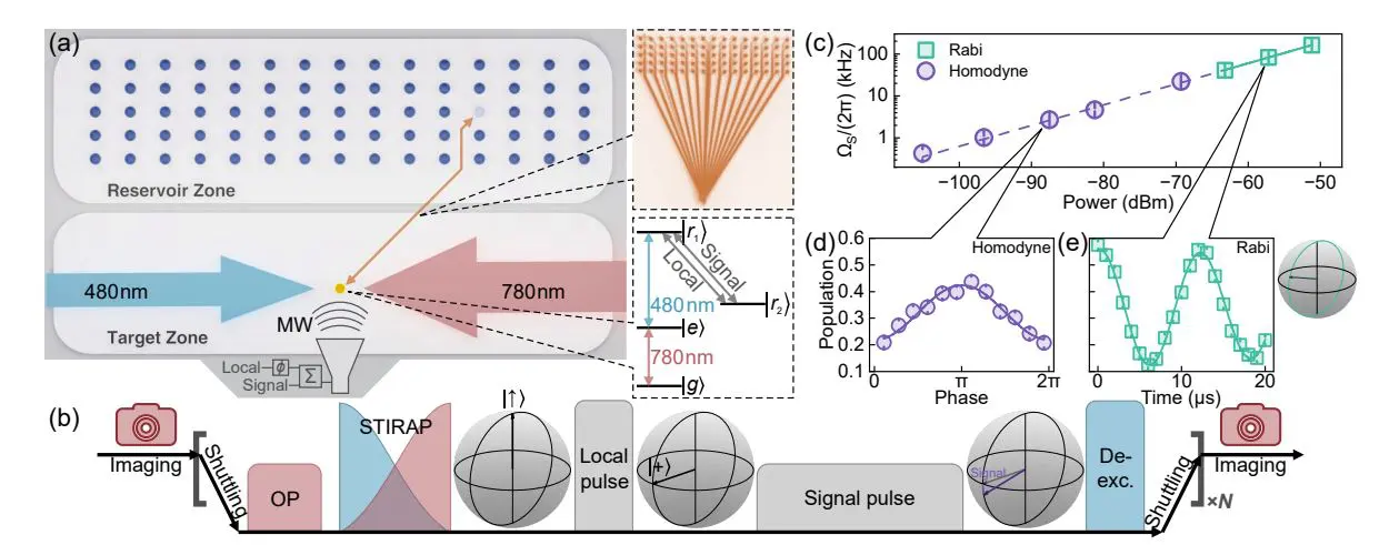 Rydberg Atom Array Achieves 13% Standard Limit in Quantum-Limited Microwave Electrometry