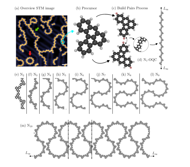 Organic Quantum Chains Demonstrate Robust Energy Gaps and Emergent Hierarchy in Localized States
