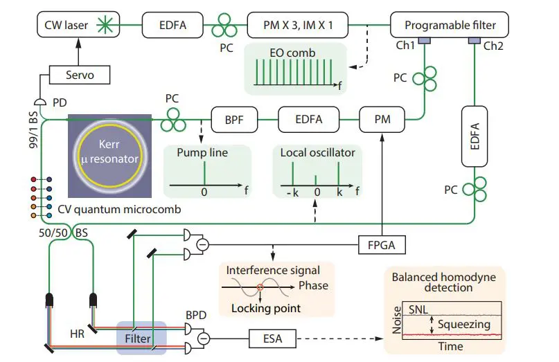 Engineered Quantum Microcombs Achieve 4.3dB Squeezing across 0.7THz Bandwidth for Scalable CV Technologies