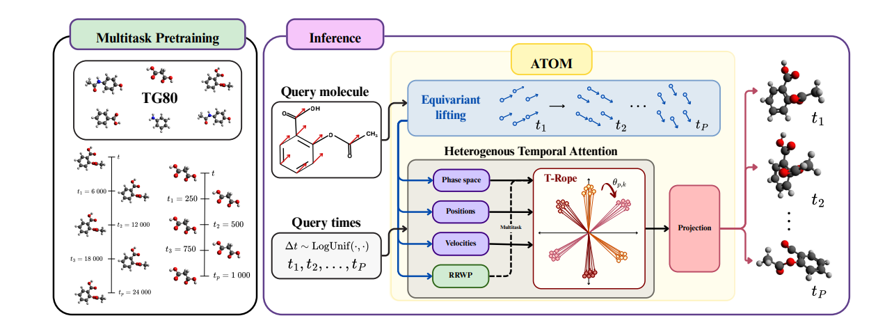 Atom: Pretrained Neural Operator Enables Multitask Molecular Dynamics Simulations with Enhanced Flexibility
