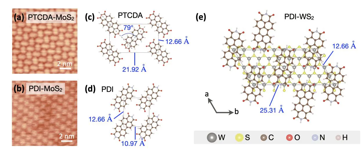 Tunable Van Der Waals Heterostructures Align Electronic Levels and Reveal Exciton Diversity in 2D Materials