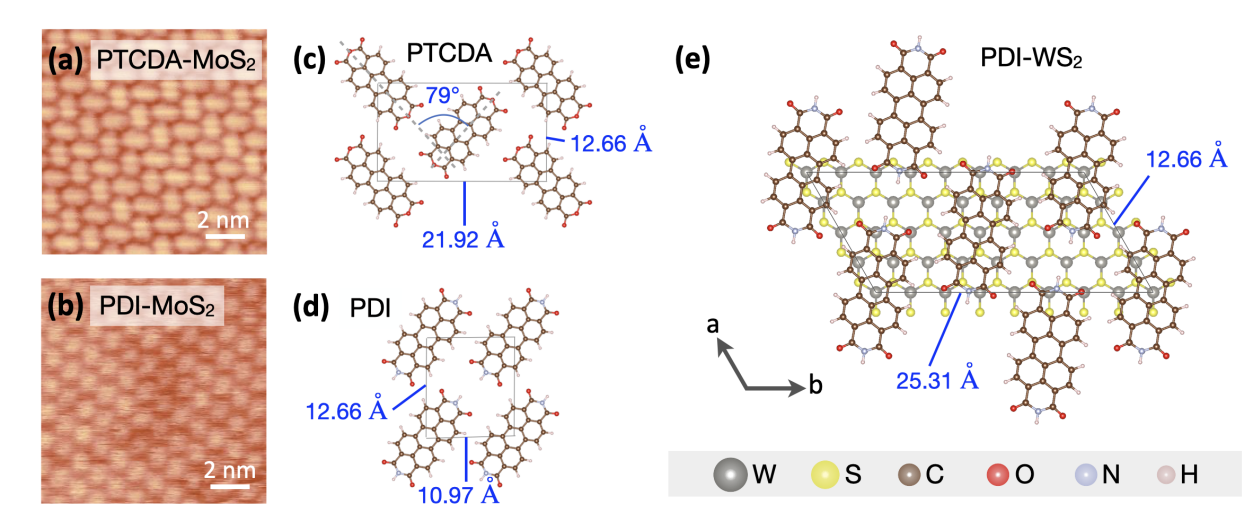 Tunable Van Der Waals Heterostructures Align Electronic Levels and Reveal Exciton Diversity in 2D Materials