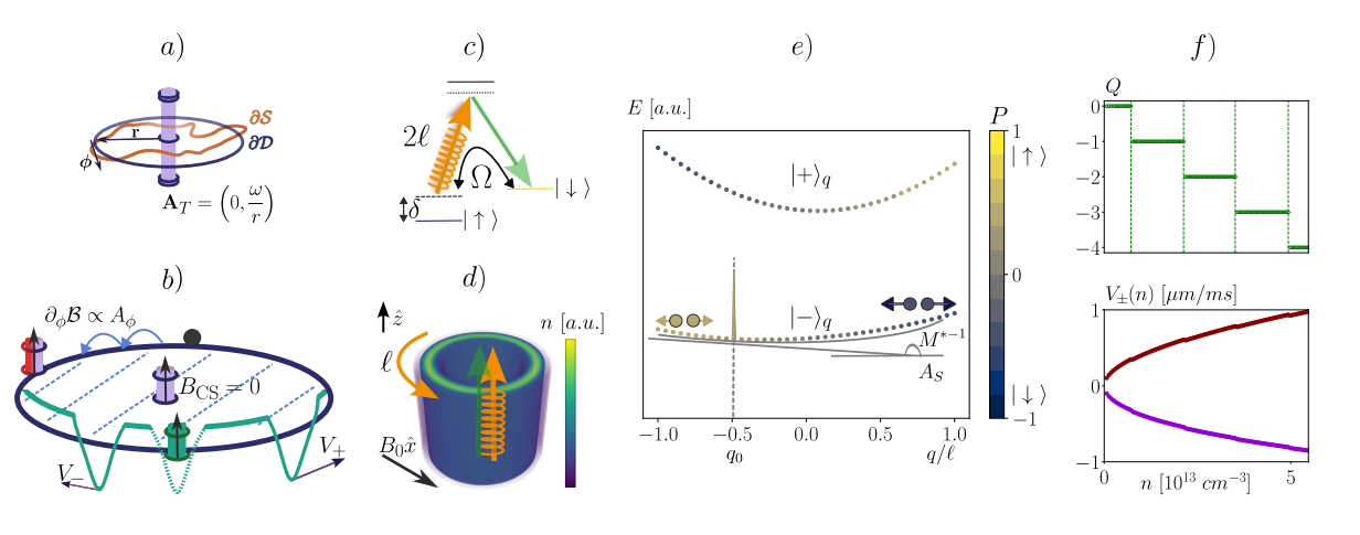 Raman-coupled Bose Gas Encodes Chiral BF Theory on a Ring, Realizing One-dimensional Topological Gauge Theory