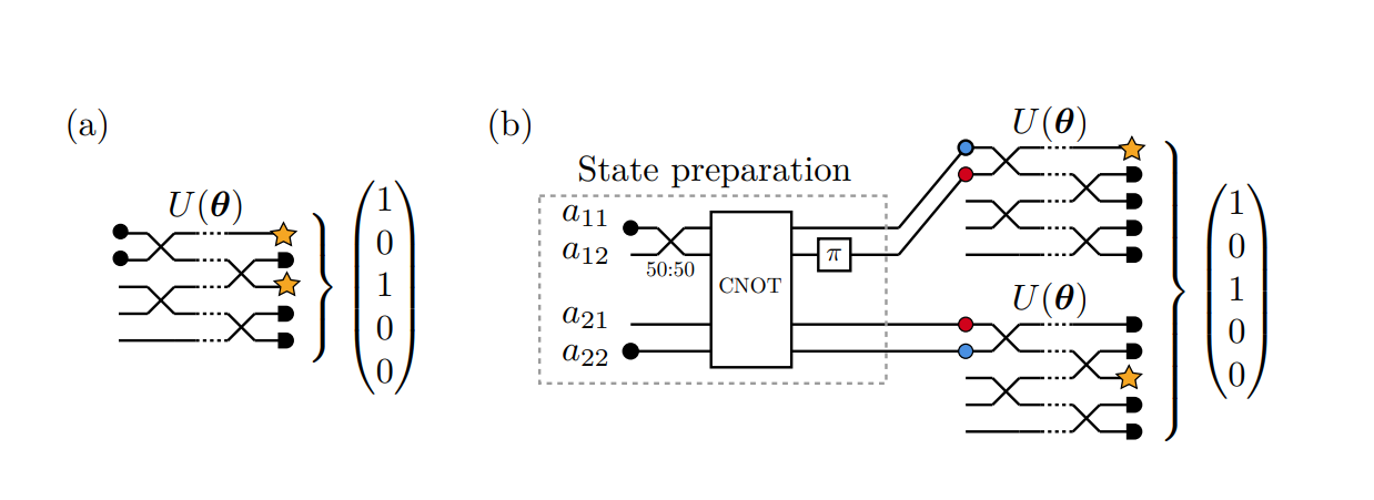 Mitigating the Barren Plateau in Linear Optics Enables Faster Discrete Variable Boson Sampling