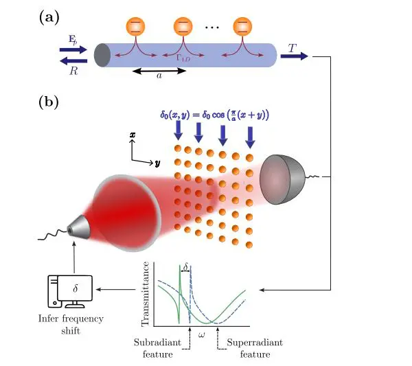 Subradiant Collective States Enhance Precision Sensing Via Transmission Spectra and Enable Detection of Global Detunings