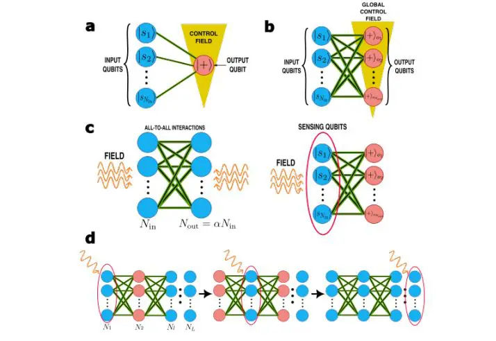Layered Quantum Neural Networks Enhance Squeezing and Enable Faster Metrology in Field Sensors