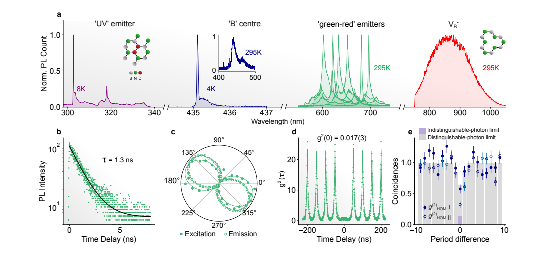 Hexagonal Boron Nitride Defects Enable Room-Temperature Quantum Technologies with Addressable Spins
