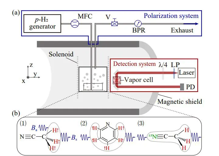 HyperpolHyperpolarized Molecular Nuclear Spins Achieve Magnetic Amplification, Demonstrating Enhanced Responsivity over State-of-the-Art Magnetometersarized Molecular Nuclear Spins Achieve Magnetic Amplification, Demonstrating Enhanced Responsivity over State-of-the-Art Magnetometers