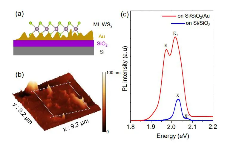 Brightening of Dark Trions in Monolayer WS₂ Via 83, 115 K Localized Surface Plasmons Enables New Technologies