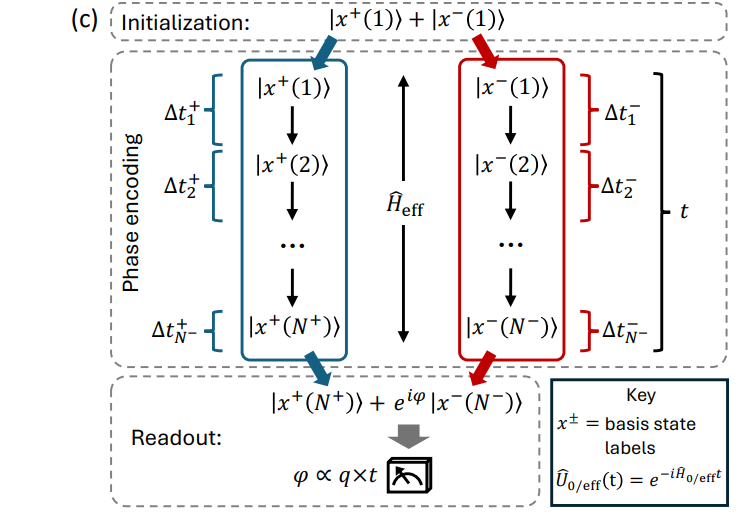 Optimally Learning Functions in Interacting Quantum Sensor Networks Enables Estimation of Linear Parameter Combinations