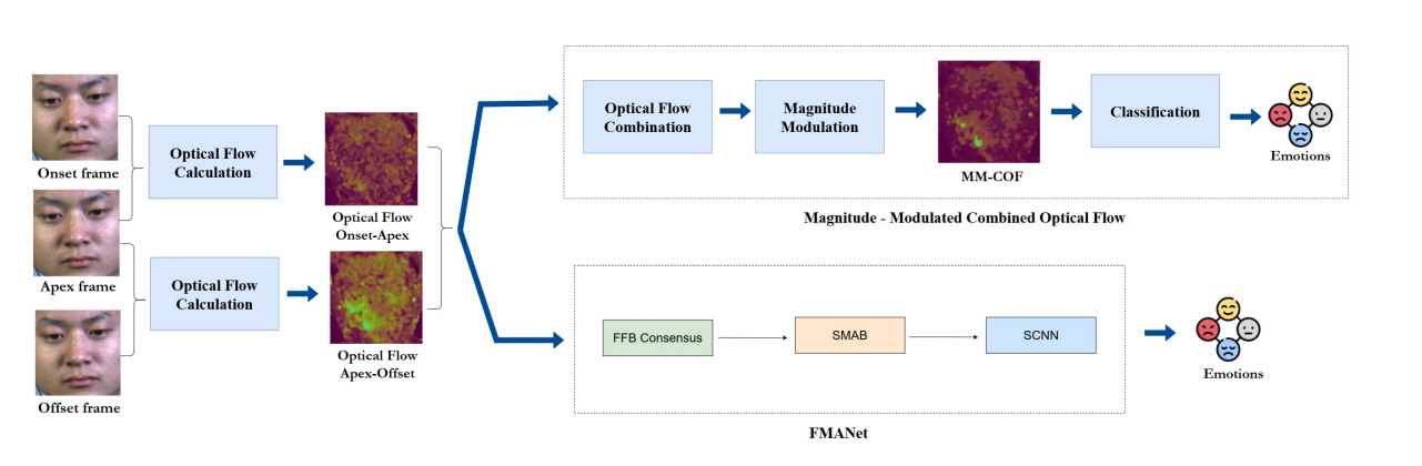 Fmanet Achieves Robust Micro-expression Recognition Via Dual-Phase Optical Flow and Fusion Motion Attention Networks