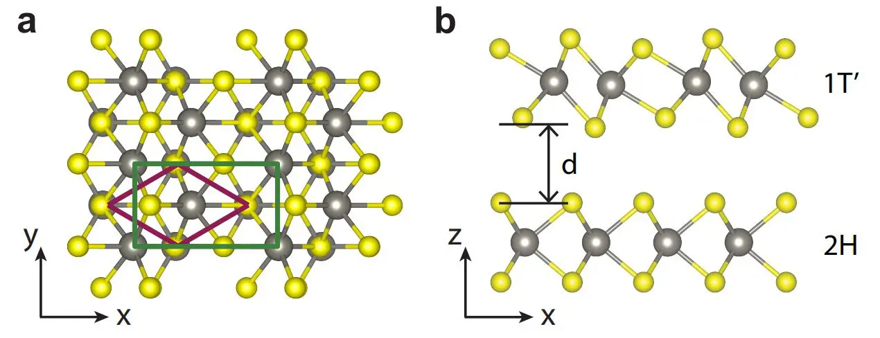 Two-dimensional Helical Superconductivity and Gapless Edge Modes Emerge in 1T-WS/2H-WS Heterostructures