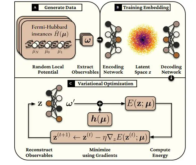Machine Learning Discovers Minimal Representations of Fermionic Ground States in -site Models with Latent Dimensions