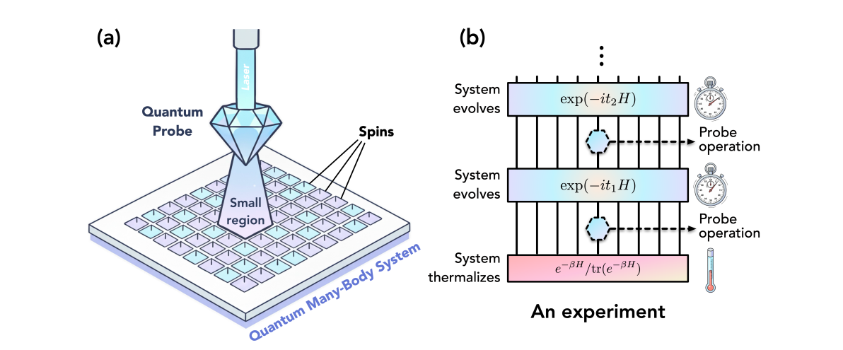 Quantum Probe Tomography Identifies Many-Body Hamiltonians with Local Probes and Algebraic Geometry Tools