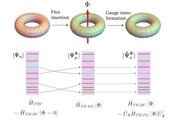 Kagome Antiferromagnets Exhibit 1/9 Magnetization Plateau with Dirac-like Spinons, Revealing Exotic Phases