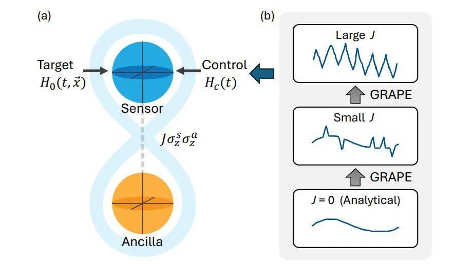 Optimal Control of Coupled Sensor-Ancilla Qubits Enables High-Precision Multiparameter Estimation