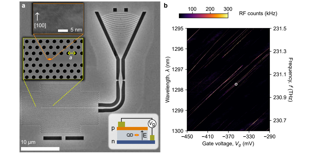 Quantum-coherent Photon-Emitter Interface Achieves 8% Linewidth Broadening at Telecom Wavelengths