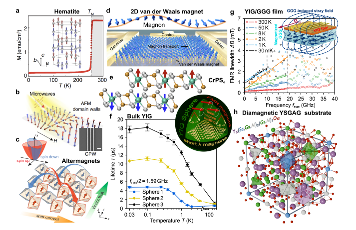 Quantum Magnonics: Yttrium Iron Garnet Supports Sub-Microsecond Kittel-Mode Lifetimes for Information Processing