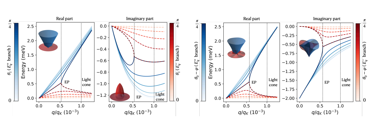 Non-hermitian Bethe-Salpeter Equation Reveals Exceptional Points in Excitonic Spectra of Open Systems
