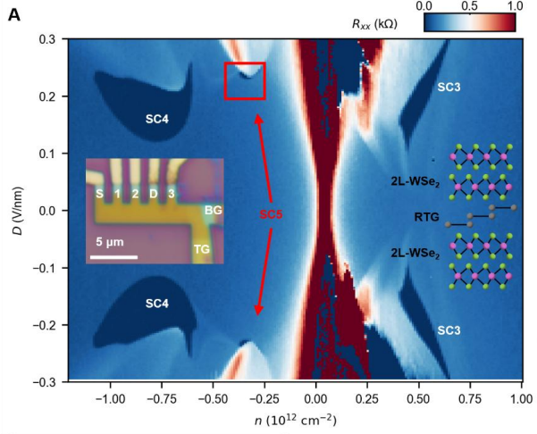 Graphene Superconductivity Enhanced by Magnetic Fields Violates Pauli Limit at 8.8 T with 80 Ratio
