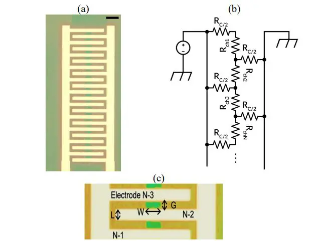 Graphene Micro Ribbons with Interdigitated Electrodes Demonstrate Tunable Low-Frequency Noise and Signal-to-Noise Ratio