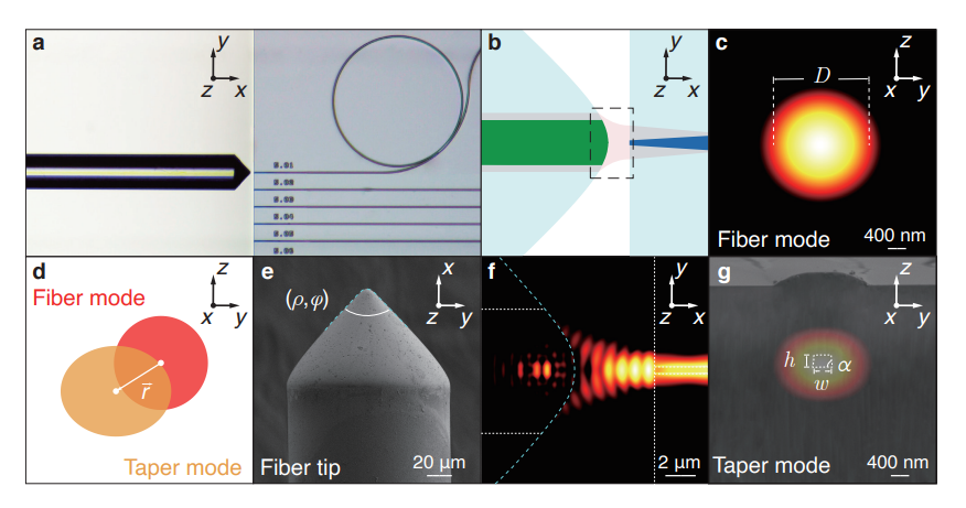 Optimized Lensed Fibers Achieve Efficient Light Coupling to Photonic Integrated Circuits for Quantum Information Processing