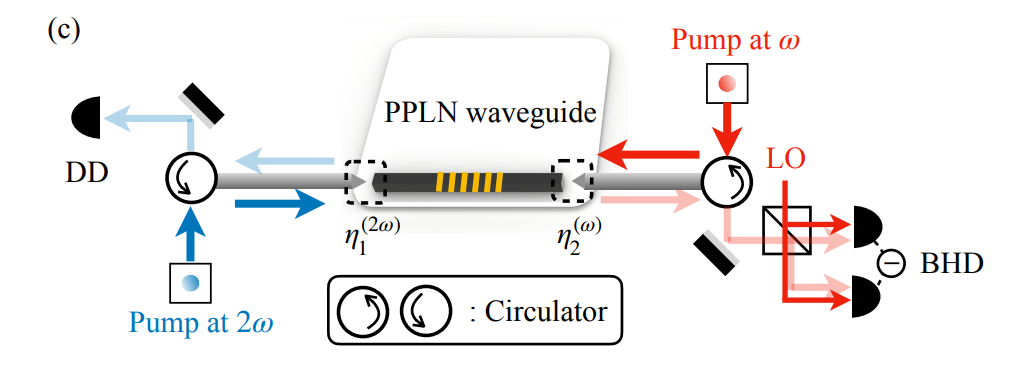 Bidirectional Nonlinear Optical Tomography Characterizes Coupling Efficiencies, Separating and for Unbiased On-Chip Performance Evaluation