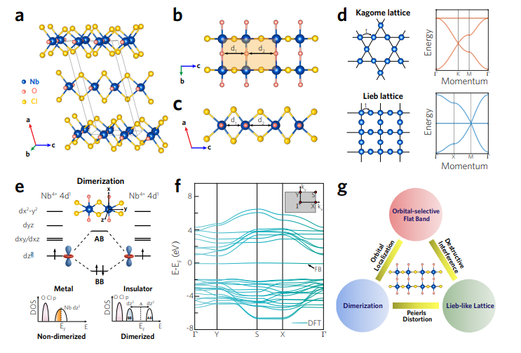 Robust Orbital-Selective Flat Bands in NbOCl2 and TaOCl2 Enable Exotic Correlations