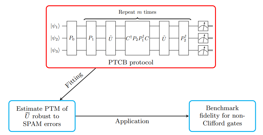Pauli Twirling Group Benchmarking Accurately Characterizes Non-Clifford Gates and Regularizes Noise Channels