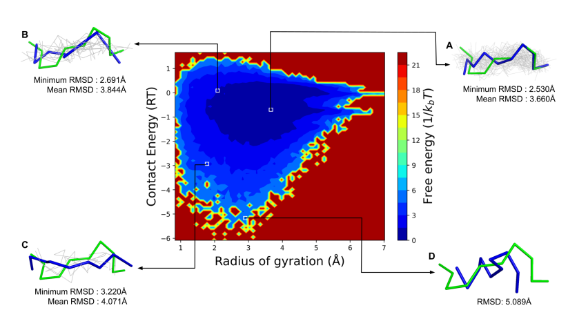 Quantum Encoding Captures Protein Free Energy Landscape, Advancing Understanding of Protein Folding Mechanisms
