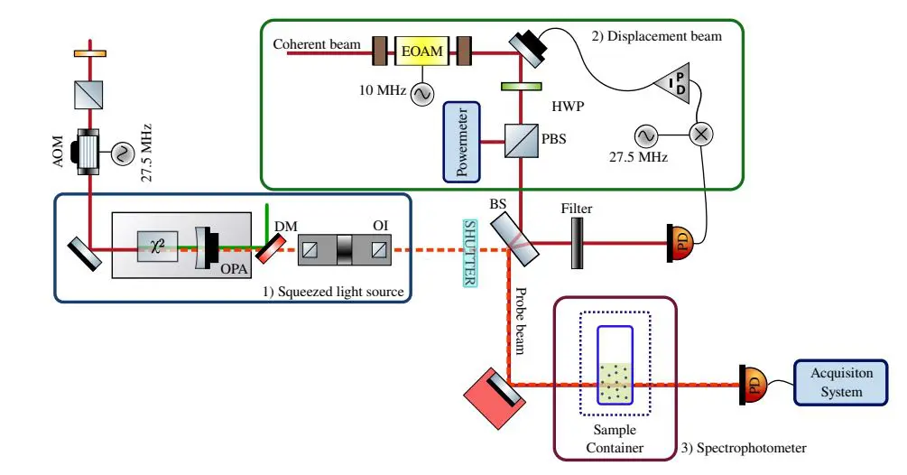 Quantum Biosensing Achieves 30-Minute Earlier Bacterial Growth Detection