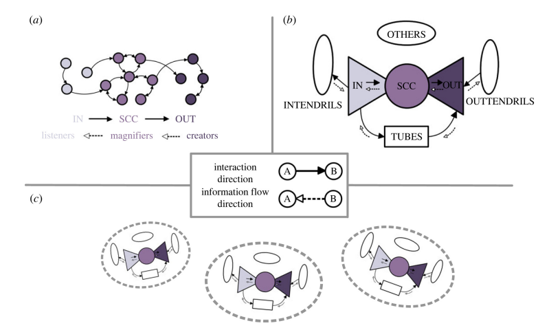 Physics of News, Rumors, and Opinions Reveals Complex Dynamics in Social Networks