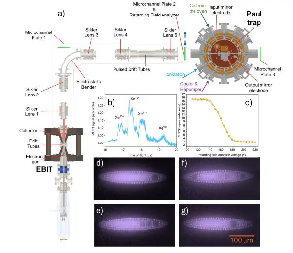 Coulomb Crystallization Advances Control of Xenon Highly Charged Ions in Traps