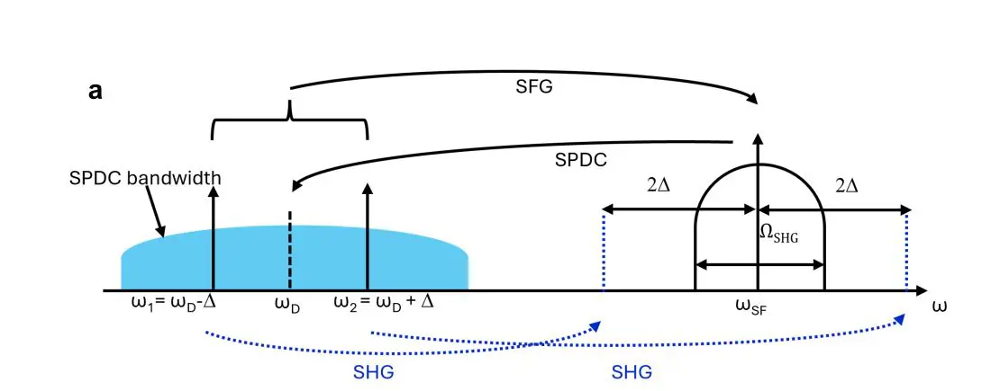 High-purity Frequency-Degenerate Photon Pairs Advance Scalable Quantum Information Processing