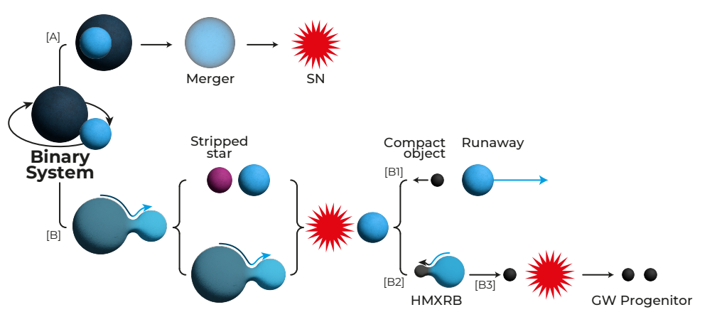 Cyg OB2 Lacks Fast Rotators: Spectral Reclassification Reveals B0 Stars May Be Rapidly Rotating Late-O Types