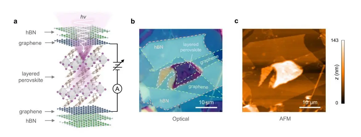 Quantum Geometry Achieves Nonreciprocal Transport in Layered Hybrid Perovskites