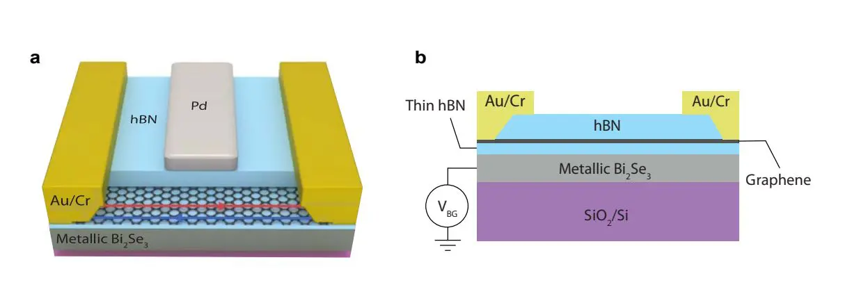 Screened Graphene Enables Robust Quantized Transport and Mode-Resolved Control of Helical Junctions