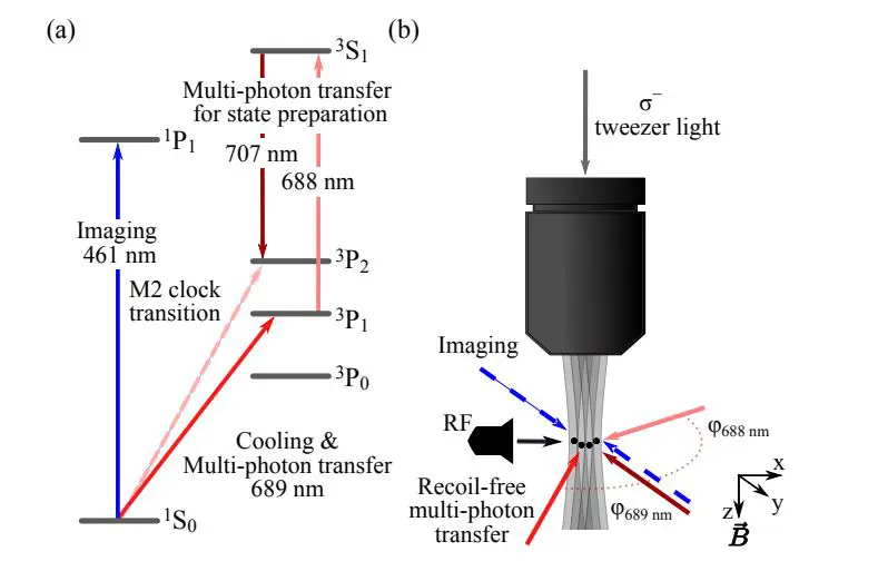 Neutral Atom Qudits Achieve Full Control of Zeeman-Manifold Quintets