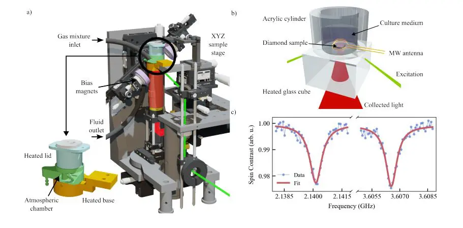Nitrogen-vacancy Center Microscopy Advances Biological Studies with Precise, Long-Term Environmental Control