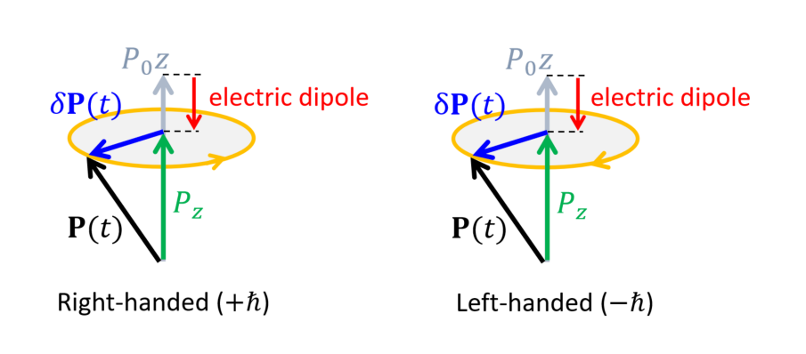 Ferroelectrics Host Multiferroic-like Quasiparticles with Static Electric and Magnetic Dipoles