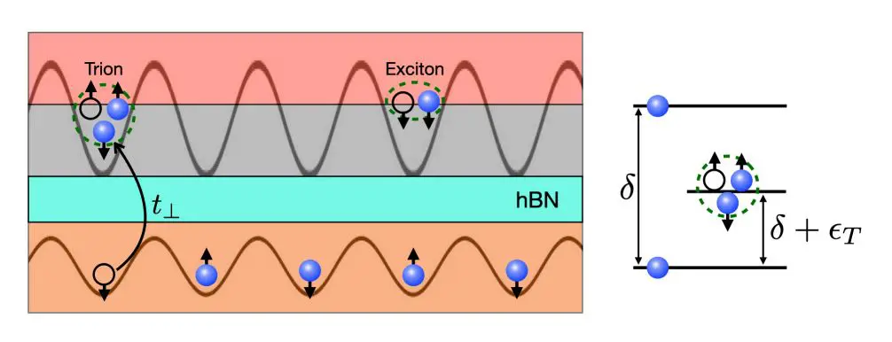 Trapped Excitons Probe Spatially Resolved Spin Density Correlations in 2D Materials