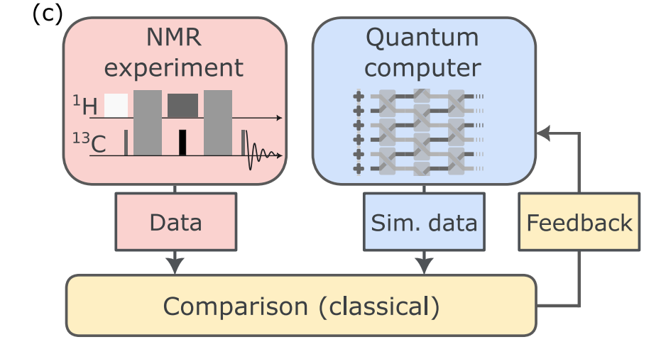 Quantum Computation of Molecular Geometry Via Many-body Nuclear Spin Echoes Enables Accurate Estimation of Toluene and Biphenyl Structures