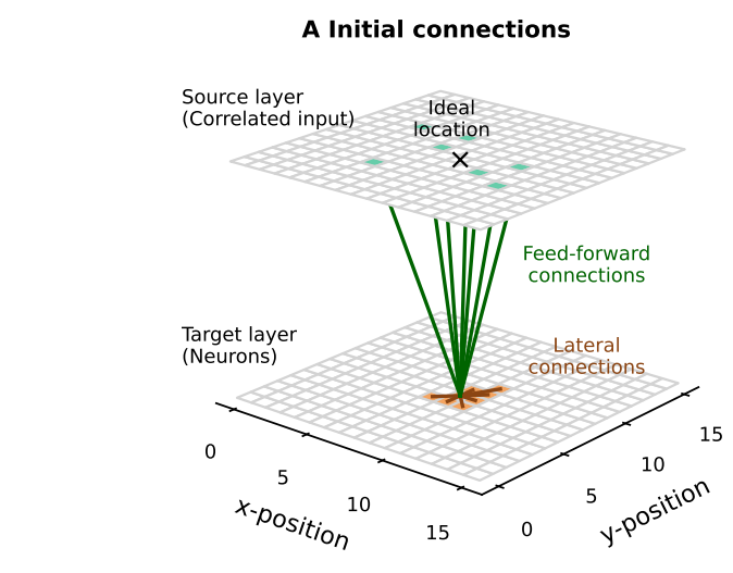 Flexible Framework Enables Structural Plasticity in GPU-Accelerated Sparse Spiking Neural Networks for Optimal Resource Usage
