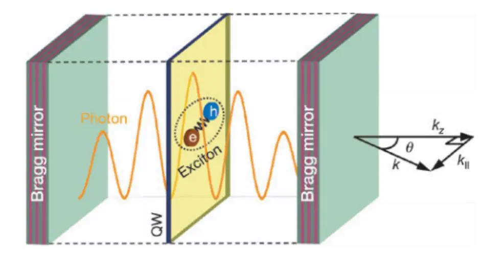 Acoustic Horizons in Polariton Fluids Enable Programmable Spacetime Simulation