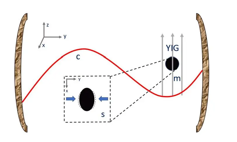Quantum Estimation of Magnonic Couplings Enhances Precision, Outperforming Individual Strategies in a Magnomechanical Cavity