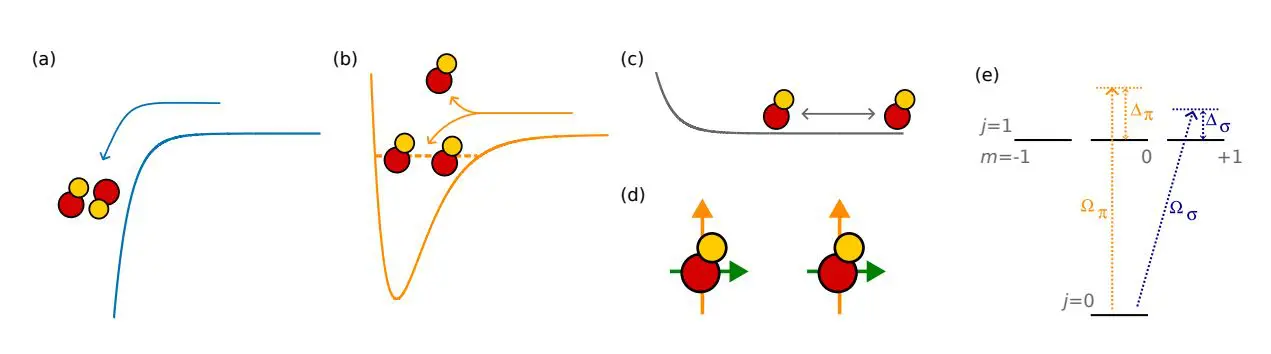 Strongly Dipolar Bose-Einstein Condensates Enable Exploration of Quantum Fluids and New Physics
