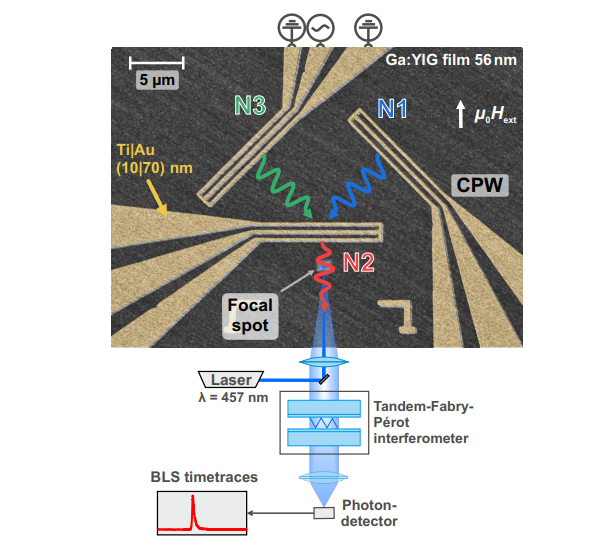 All-magnonic Neurons Enable Analog Neural Networks with Tunable Fading Memory and Multi-Input Integration